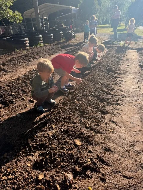 Children planting a row of seeds in the garden