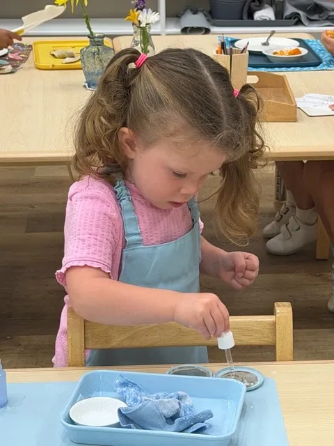 Girl doing a pouring activity at the practical life shelf