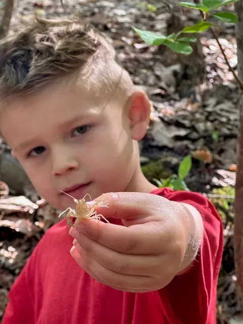 Boy holding up a small find from the forest